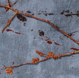 Ingunn Vestby udstiller i Lyngby Kunstforening 2025