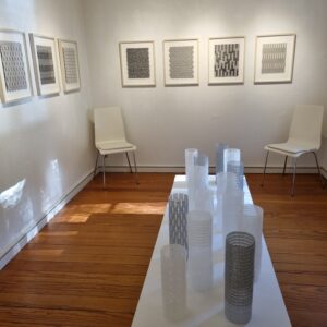 Ann-mary Hansen udstilling i Lyngby Kunstforening